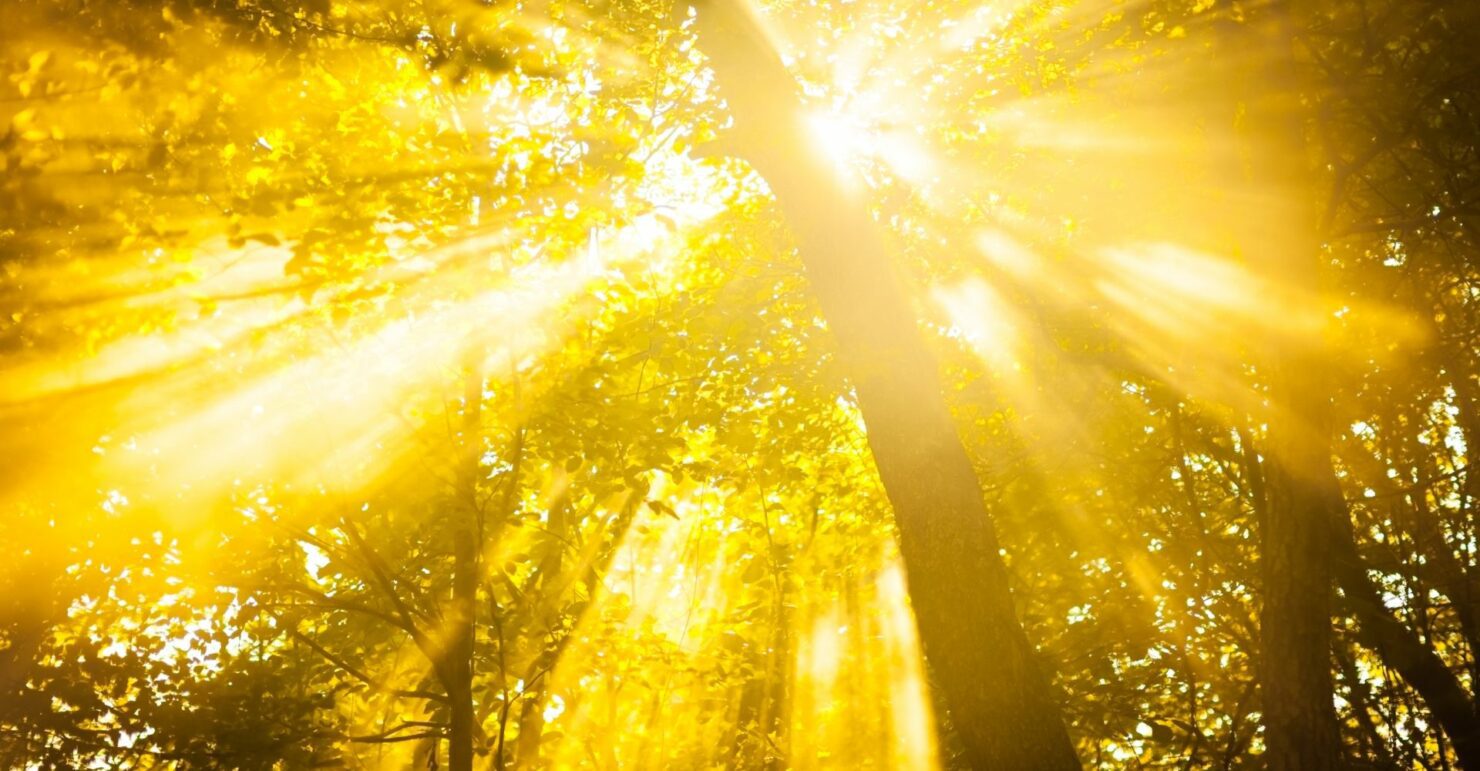 How Much Sunlight Do We Need Daily?