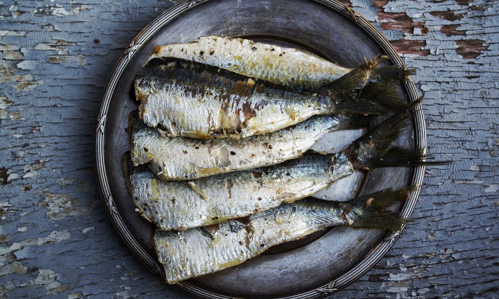 food sardines